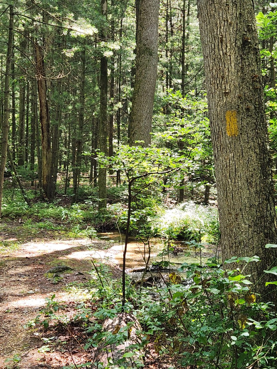 MSG Gabe Sweger (@msg_sweger) on Twitter photo The path is not always as clearly marked, but we must go
#taketheden #ttd #theburn ##standardsoverfeelings <a href="/ContinuedFight/">Ben Newman</a> The path is not always as clearly marked, but we must go
#taketheden #ttd #theburn ##standardsoverfeelings <a href="/ContinuedFight/">Ben Newman</a>