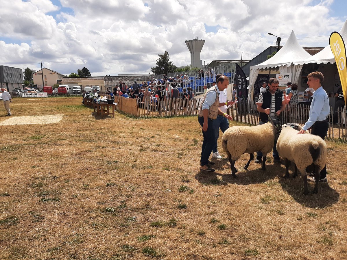 Agri53 (@agri_53) on Twitter photo Dans quelques instants, les animaux primés lors du #cima vont défiler sur le ring. Le soleil est au rendez-vous ! #Mayenne <a href="/ChambagriPdL/">Chambres agri PdL</a> <a href="/lamayenne/">La Mayenne, le Département</a> Dans quelques instants, les animaux primés lors du #cima vont défiler sur le ring. Le soleil est au rendez-vous ! #Mayenne <a href="/ChambagriPdL/">Chambres agri PdL</a> <a href="/lamayenne/">La Mayenne, le Département</a>