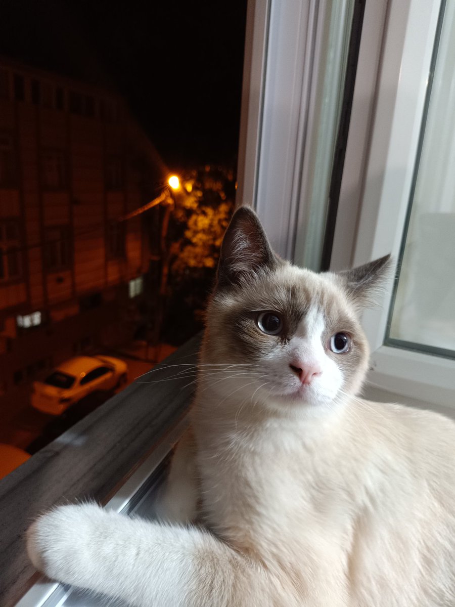 Bana tek iyi gelen şey 🤍