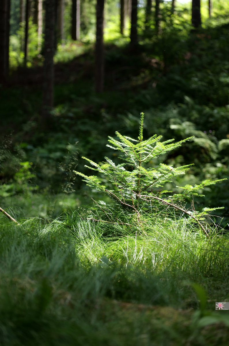 Point_Photos's tweet image. 