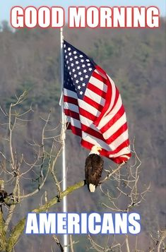derailedgamer's tweet image. Good morning all you wonderful American patriots!
There are no others like you that do whay you all do!!
MURICA...