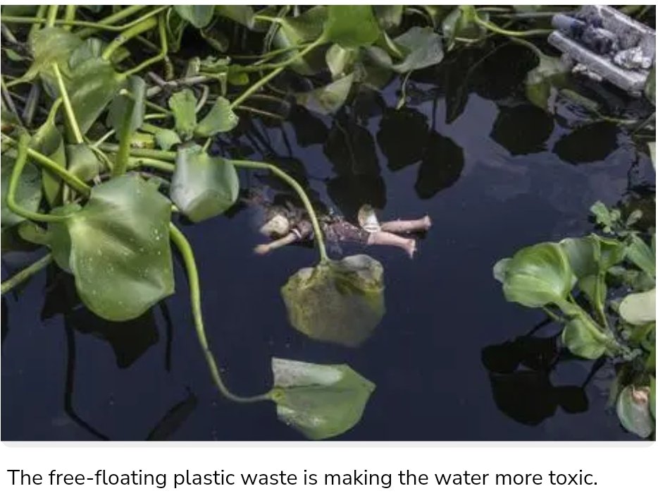 A stretch of dirty water that’s mostly untreated sewage from 20+ drains pouring waste straight in it.

Yamuna in Delhi is just a river by name but a giant drain flow for half the yr. Humans literally stolen the lifeblood of the river while calling it Maiya. 13/16