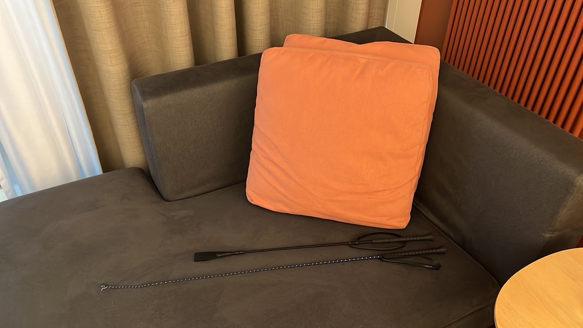 Sie hat Brattitude, die Ärmste! 😹

Der Kater mag das. 
Und den Reitsportladen. 😈

Ob sie wohl auch so ein Leckerli mag? 😏