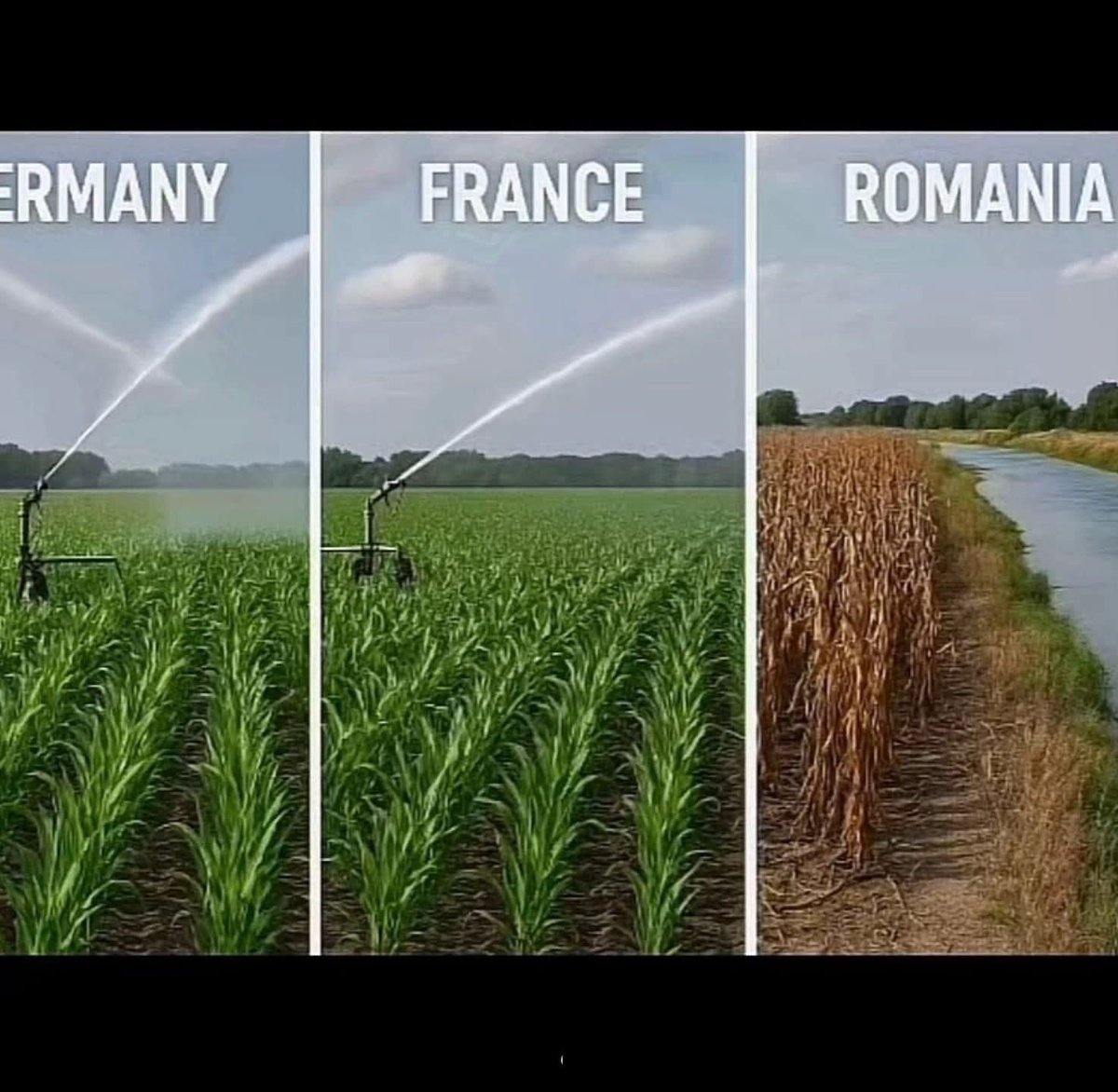 Asta a ajuns România!!!!! TOȚI ROMÂNII ÎN STRADĂ!!!!!

     🇩🇪                    🇫🇷                        🇹🇩