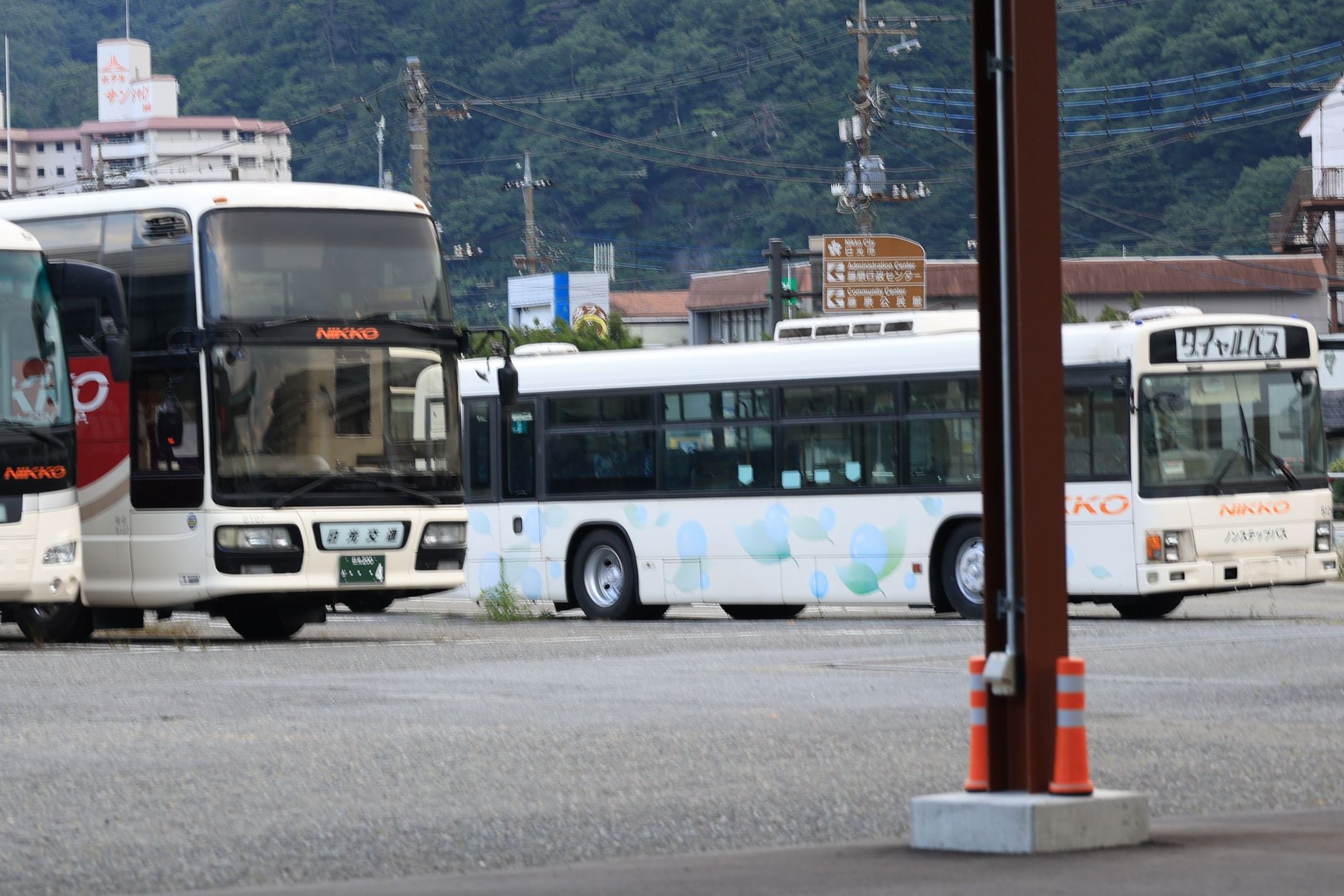 Taiju_11 on X: 