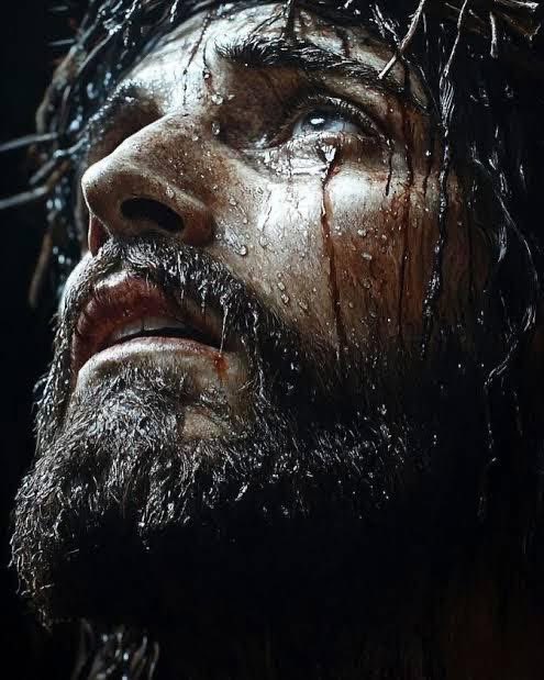SecretFire79's tweet image. For our Protestant brothers & sistersβ¦
The Manna, the Living Bread, and the Last Supperπ»π¦ποΈ
In John 6, Jesus draws a powerful comparison:
βYour fathers ate the manna in the wilderness, and they died. This is the bread that comes down from heaven, so that one may eat of it andβ¦