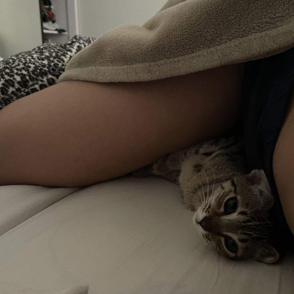saemiart's tweet image. desde que a nalinha chegou minha mulher tem competição para fazer conchinha