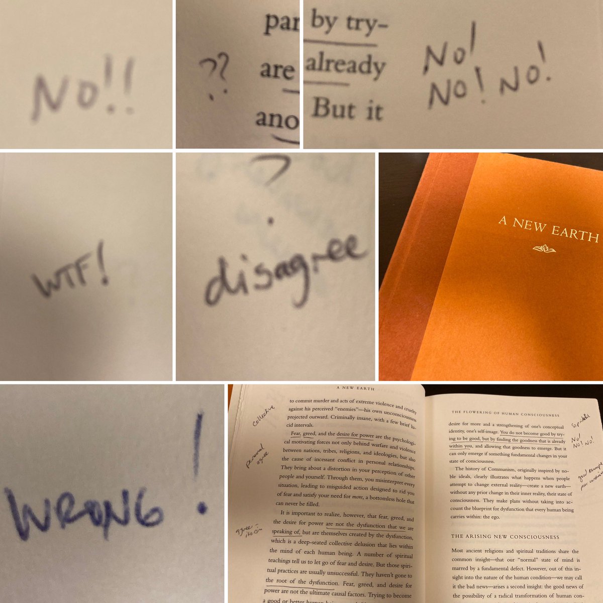audiobookrunner's tweet image. NEW EARTHって本をオーディオブックで聴いたあと原書ほしくなって古本ポチったんだけど、めためたに批判的な書き込みポールペンでぎっしりしてあって萎える。それも途中でやめるとかなくて最後までこんな調子なのよ。こんなもん売るな