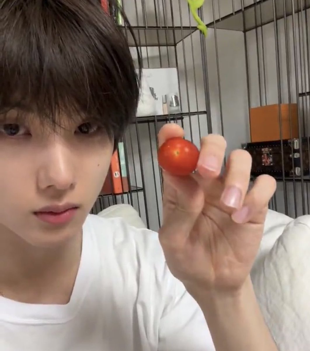 tory_0205js's tweet photo. @mymarshmalloow 쮜크민이 탐험으로부터 돌아왔습니다!!!! https://t.co/yOisFEiKLA