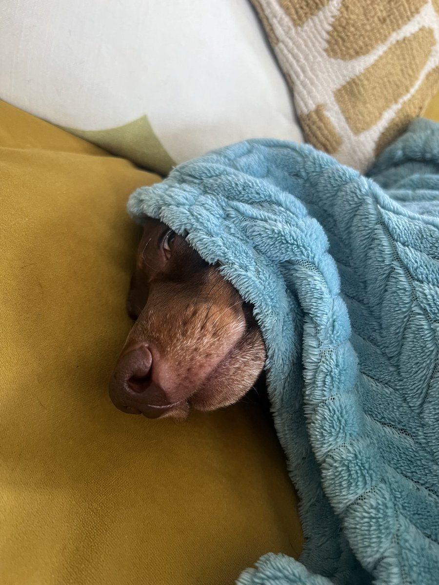 Mark Maguire 🇬🇧 tweet media