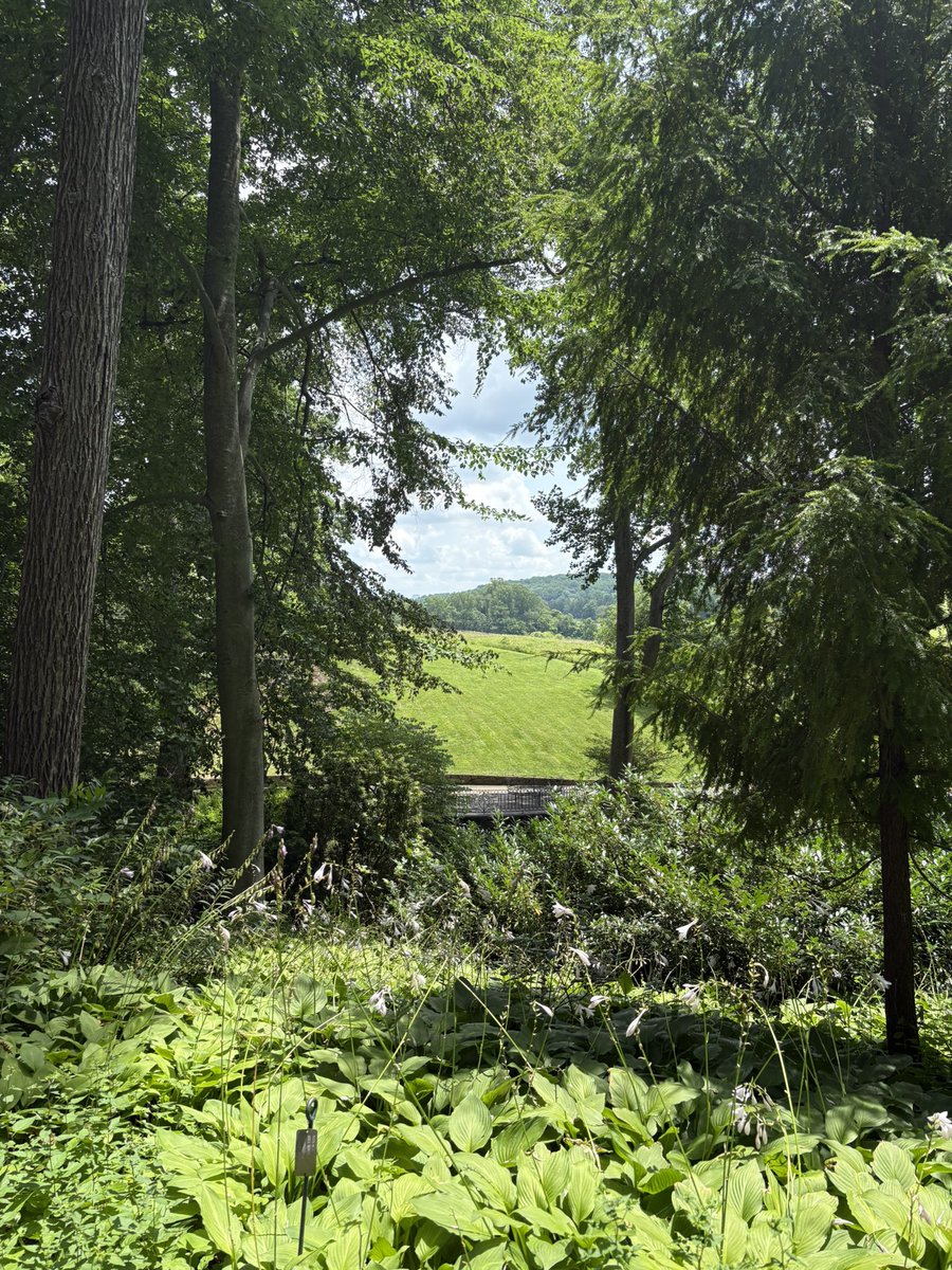 cj_bookums's tweet image. i intern at the coolest place bro these views