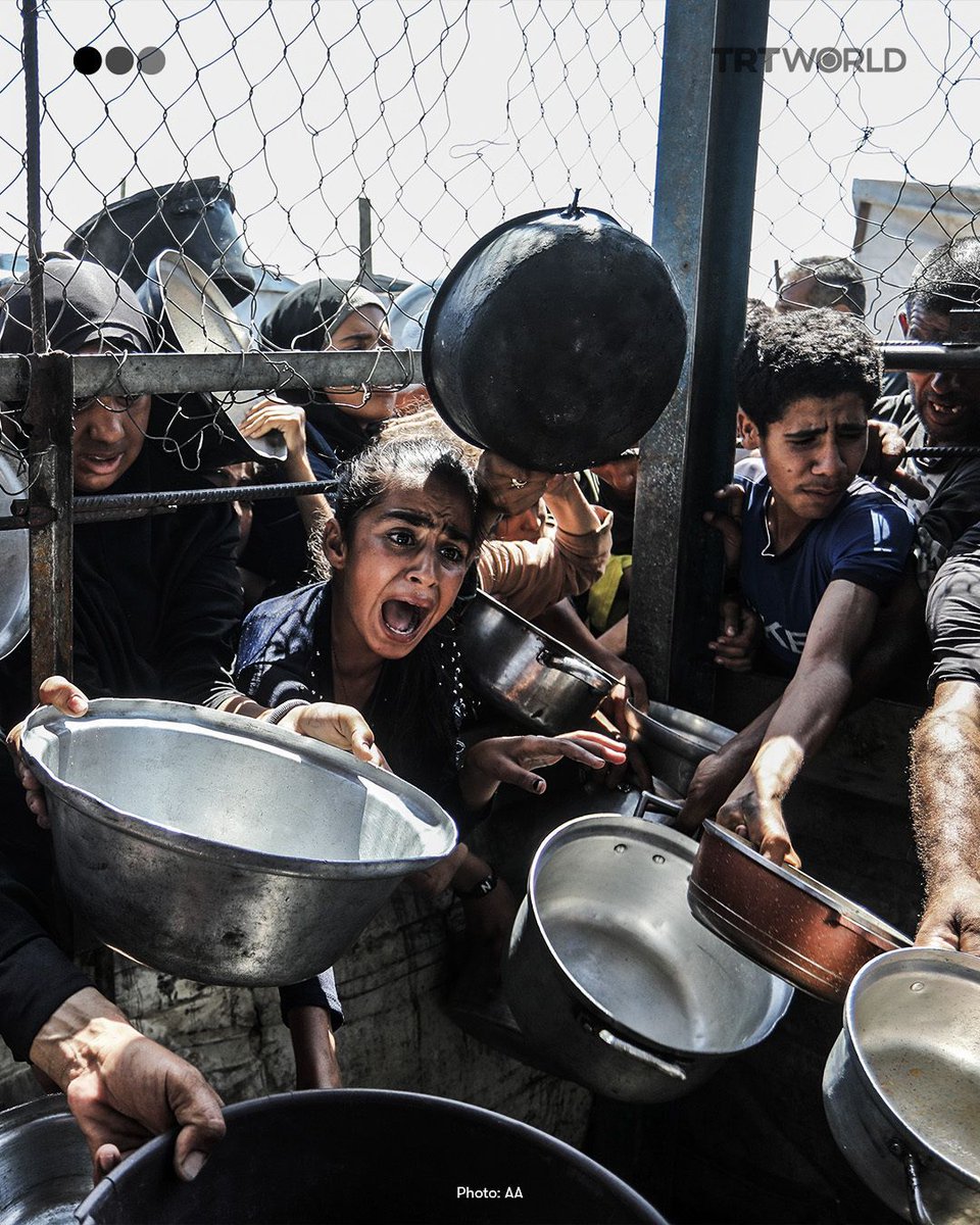 🧵The Great Hunger, 2025.  Let no one say they didn't know.

#GazaGenocide‌ #GazaStarving #Gaza
<a href="/Keir_Starmer/">Keir Starmer</a> <a href="/DavidLammy/">David Lammy</a> <a href="/realDonaldTrump/">Donald J. Trump</a> <a href="/_FriedrichMerz/">Friedrich Merz</a> <a href="/EmmanuelMacron/">Emmanuel Macron</a> <a href="/lisanandy/">Lisa Nandy MP</a> <a href="/kajakallas/">Kaja Kallas</a> <a href="/vonderleyen/">Ursula von der Leyen</a> <a href="/OIC_OCI/">OIC</a> <a href="/arableague_gs/">جامعة الدول العربية</a> <a href="/IntlCrimCourt/">Int'l Criminal Court</a> <a href="/CIJ_ICJ/">CIJ_ICJ</a> <a href="/YvetteCooperMP/">Yvette Cooper</a> <a href="/BBCNews/">BBC News (UK)</a>