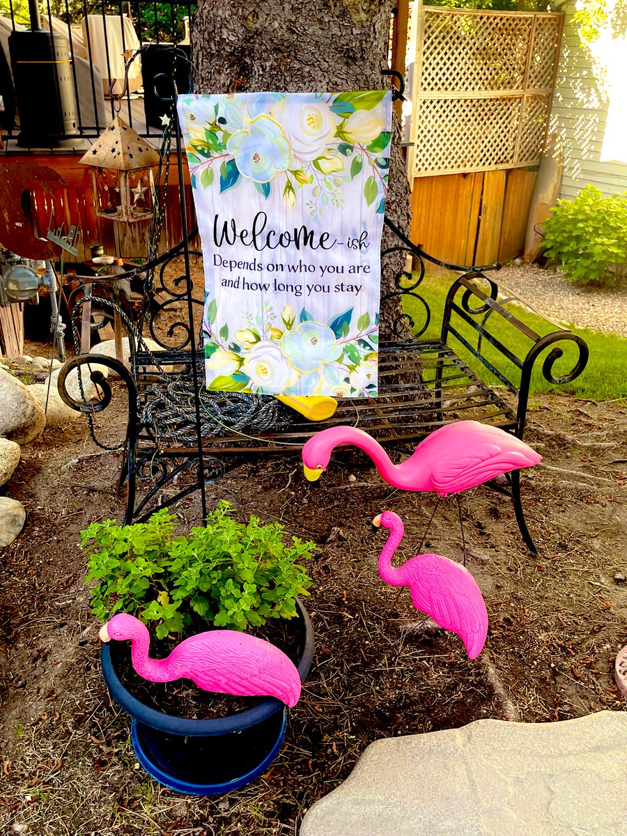 Sunday Funday!

🦩😊🦩

#Flamingos  
#Welcome