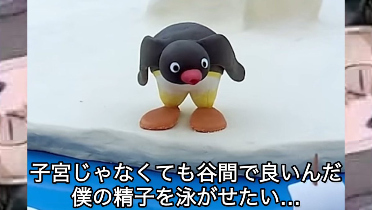 pingu_Archive's tweet image. 