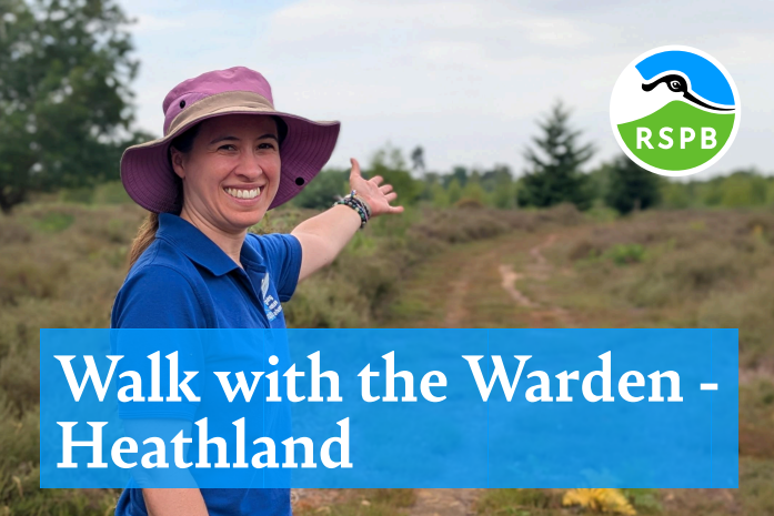 Celebrate with us our 20th year of restoring the Heathland at The Lodge with an exclusive walk with our warden Sonya through the New Heath.

For more info &amp; to book tickets, visit 👇
events.rspb.org.uk/events/125900