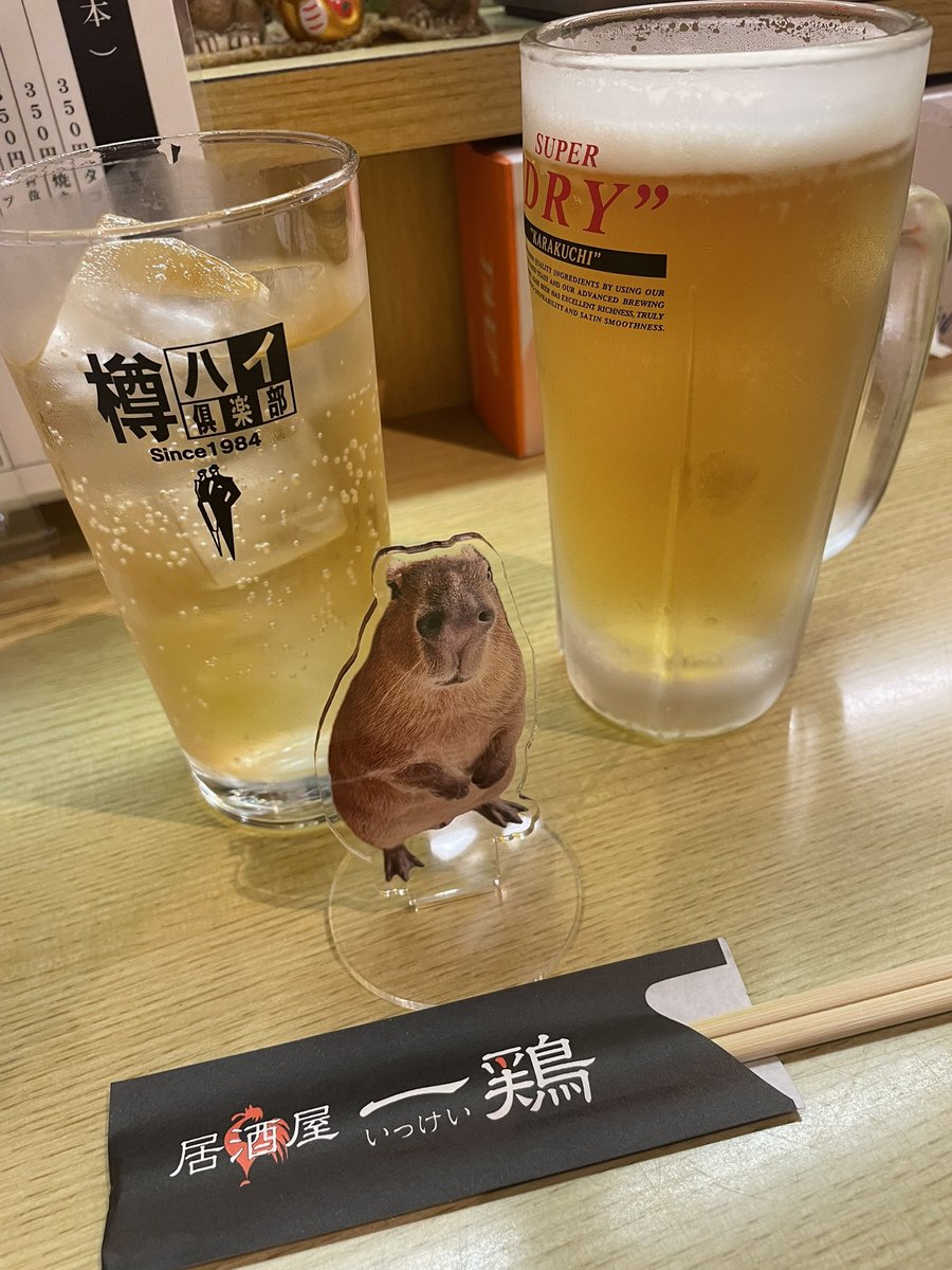 capybara5179's tweet image. 今日は四日市で宿泊。かーぴー🍺🌰
#カピバラ
#capybara
#愛知カピバラ飼育養成所
#マロン姫
#居酒屋一鶏
