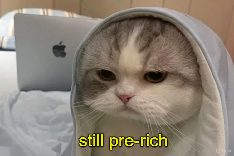 Me at 2am checking to see if i'm already rich yet or still pre-rich