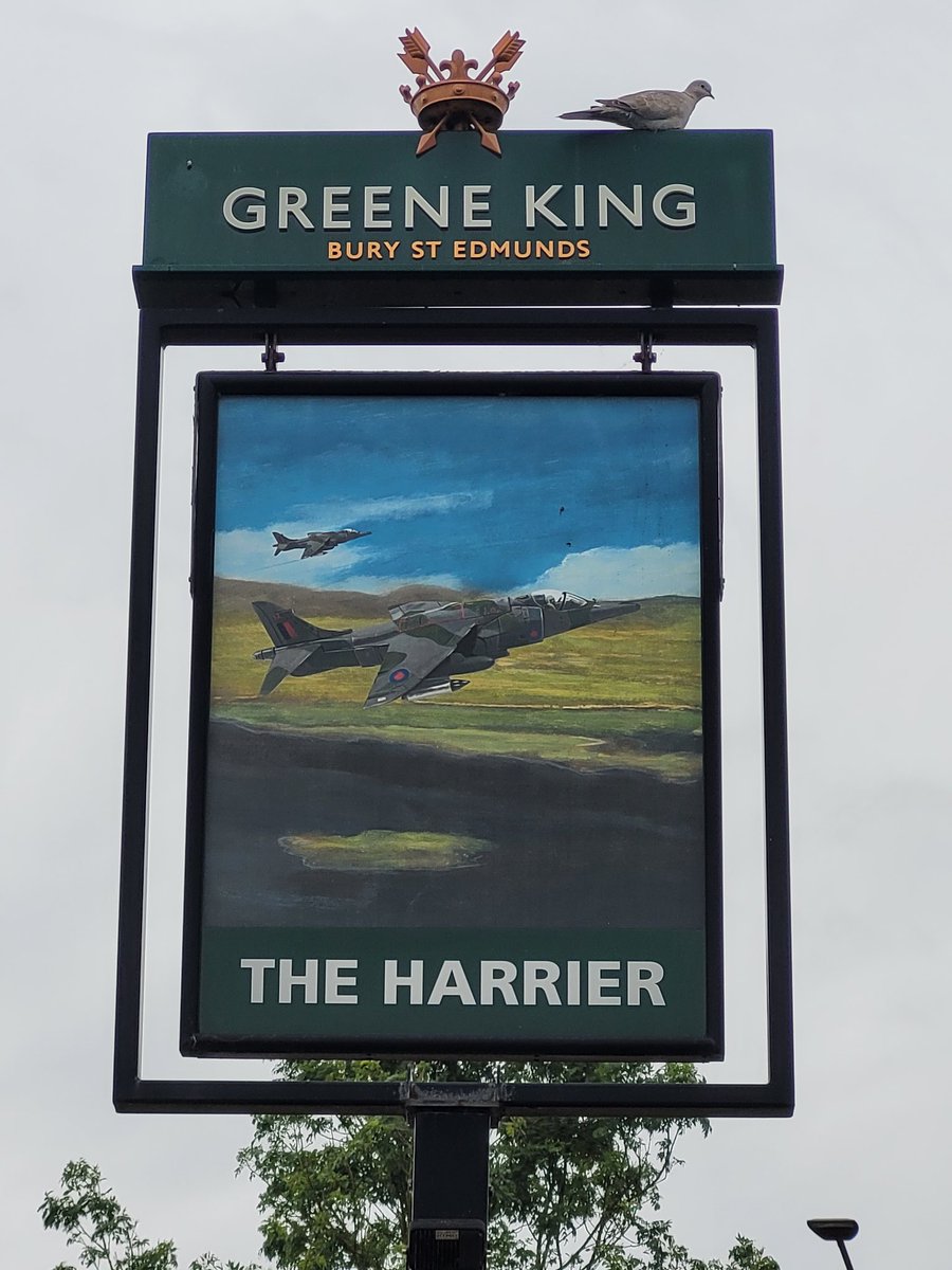 official_danik's tweet image. 1000th pub visited since August 2021! Greetings from The Harrier in Peterborough. Celebrating with family meal. Thank you for all your support guys and go and support your local pubs! 

@CaskFinder @caskmarque @BeerMarqueUK @greeneking
