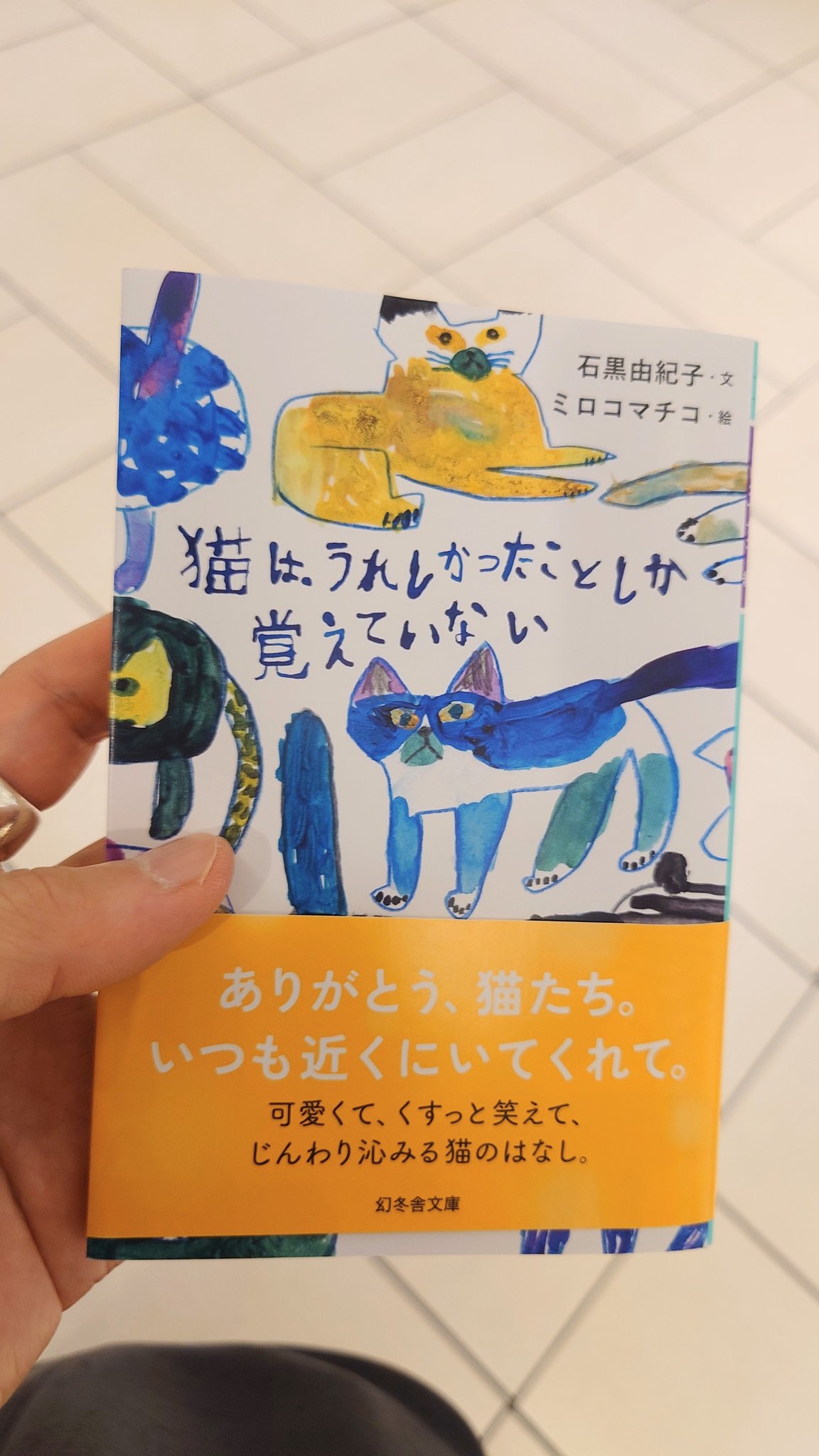 だれかこねこをたすけて TVアニメ『ニャイト・オブ・ザ・リビングキャット』超絶可愛猫
