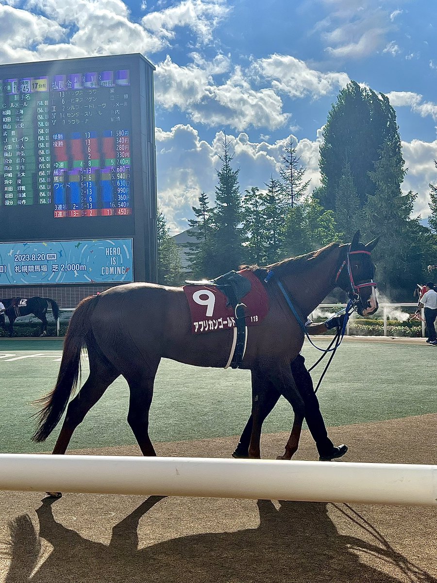 馬はその顔を、します‼️
ソースはコレ