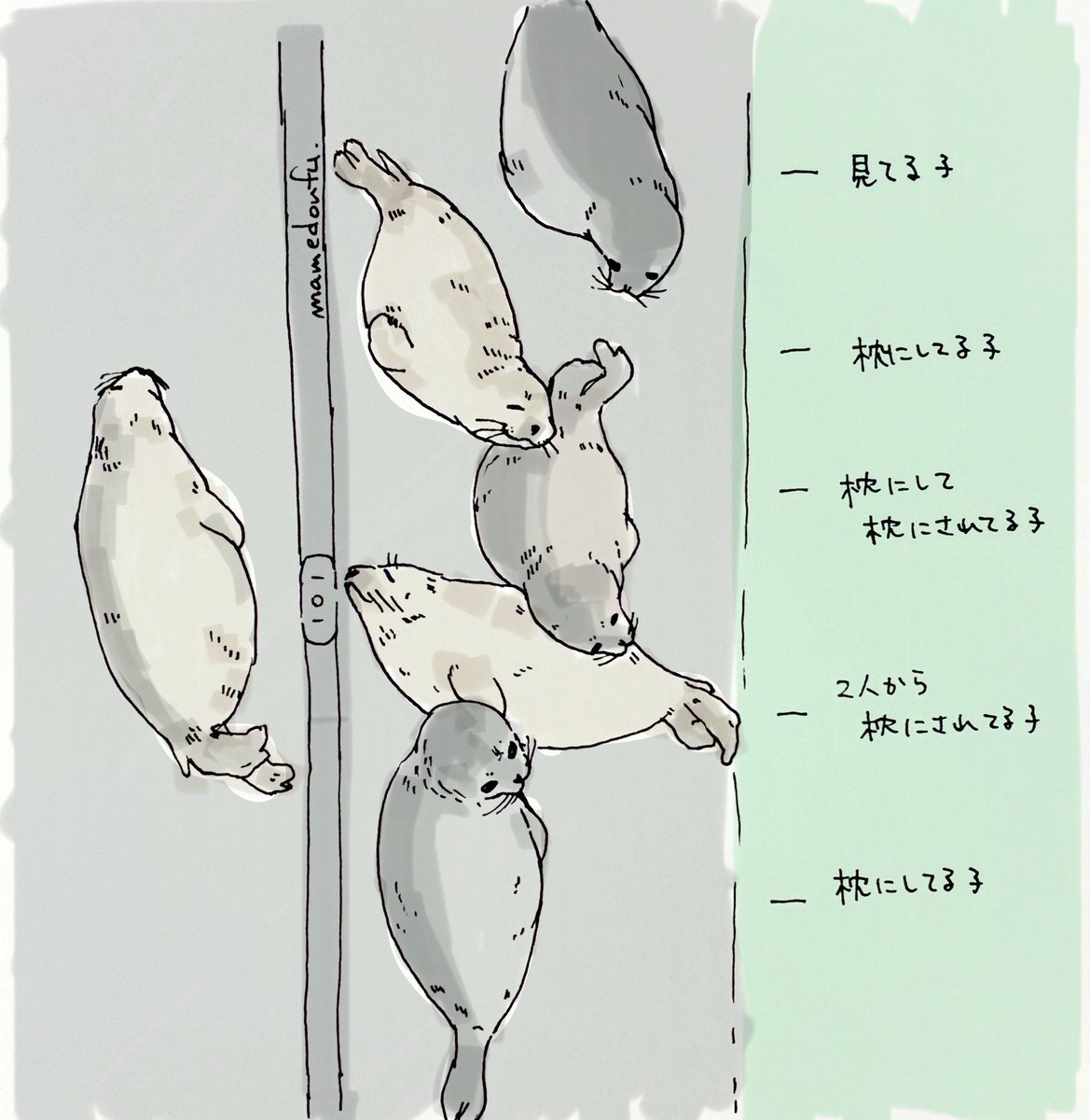 3YYj0iAOEQhhVge's tweet image. F2右側プール
狭い範囲に集まって寝ようとして結局お互いを枕にするアザラシたち
私もアザラシの枕欲しい
#zeehondencentrum #WEC
#アザラシ幼稚園