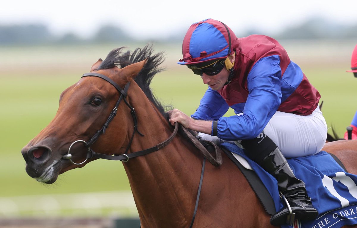 curraghrace's tweet image. 🌳 Little Oaks Family Day is underway with a stylish win for Sugar Island in the Sycamore Lodge Equine Hospital @IrishEBF_ Maiden under Ryan Moore for trainer Aidan O’Brien.
A great start to Day 2.