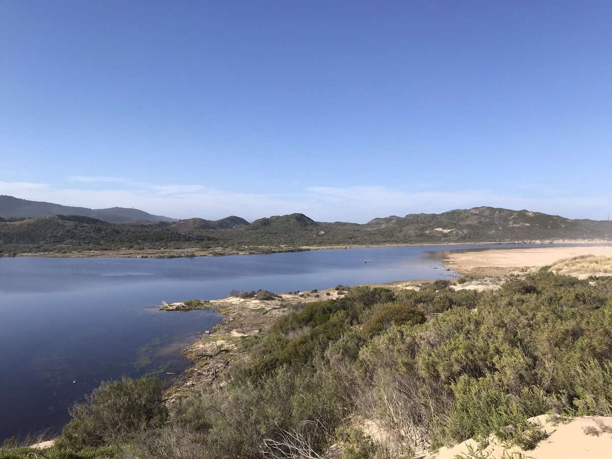 marcdotnarc's tweet image. Winter Bliss - there a few more people around than usual haha….
I thought this was my beach - I saw a couple getting all jiggy aswell 🤗😂 one used to be able to do that but not nowadays - I think they were tripping tho!
We have that Cape Town crowd in the area now - ugh!