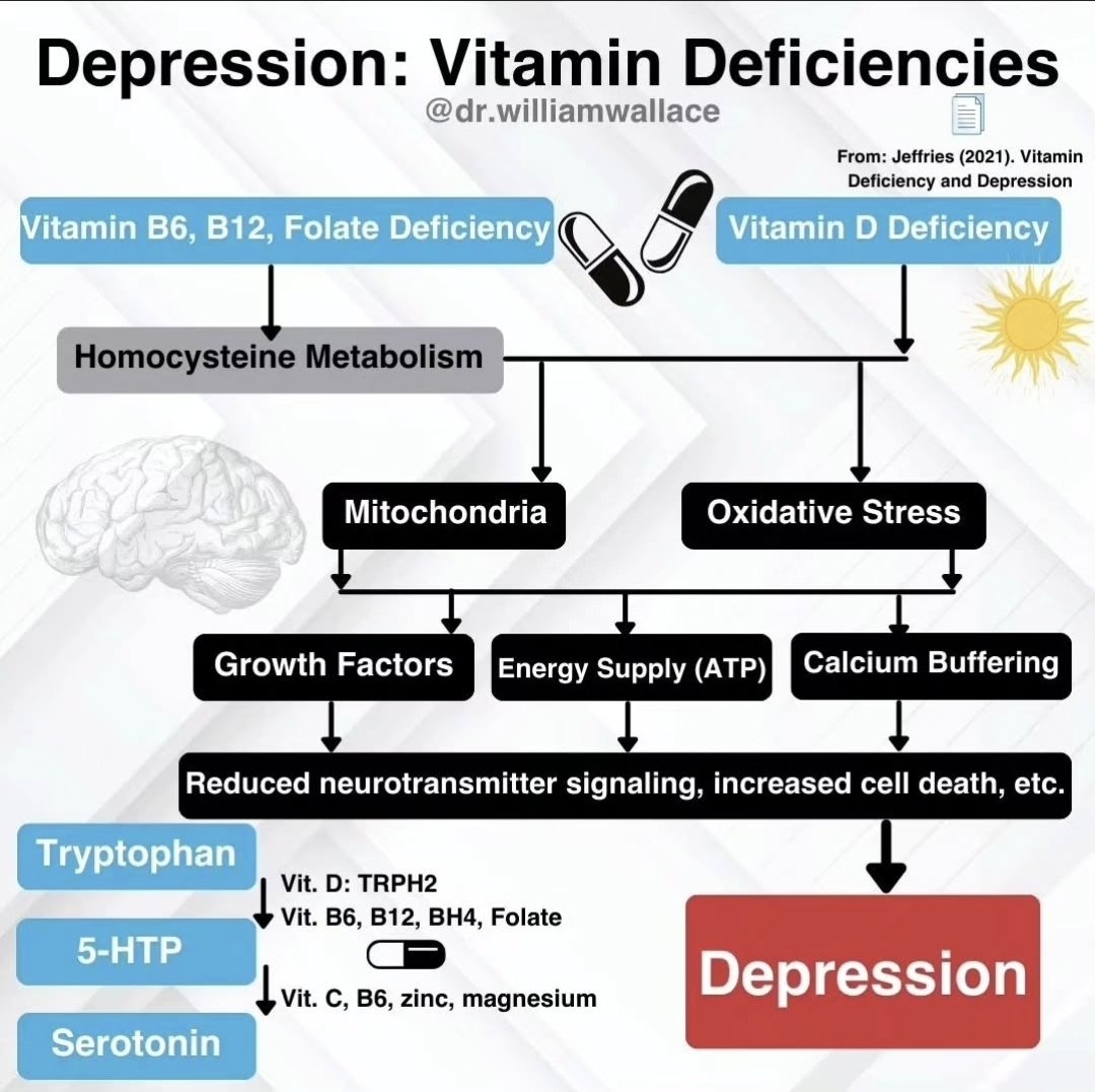 This post does not suggest that vitamin deficiencies are causal to all cases of depression, or even that they play a primary role in some cases of depression. This post is meant to convey ways in which vitamin deficiencies can contribute to the etiology of depression [this may be