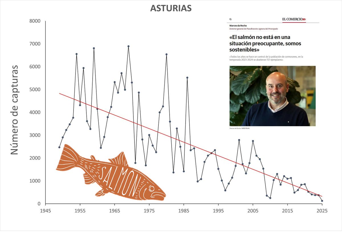 Mínimo histórico de capturas de Salmón en Asturias. 🤔 ¿El Salmón se extingue porque los que legislan no saben interpretar gráficos de tendencia poblacional o pq son incapaces de aplicar su legislación?
Debe declararse En Peligro de Extinción ya!
📊 Face de Naturaleza Cantábrica