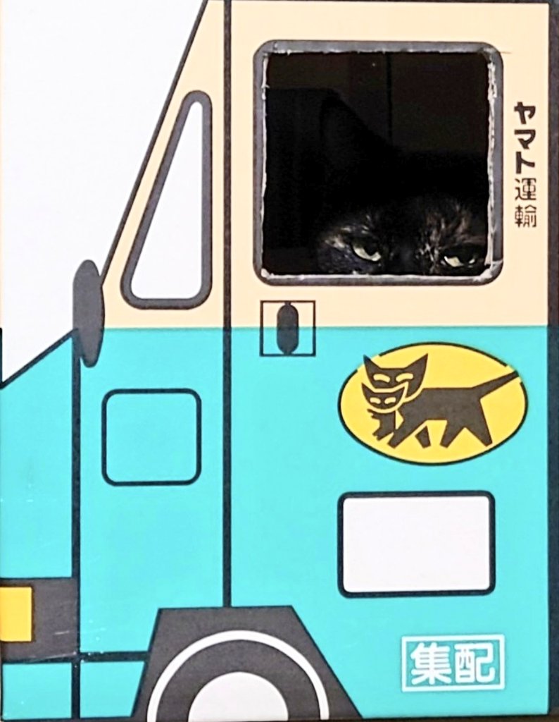 「サビ猫」ポジャギ けいとたまちゃんです!!! サビ猫たまちゃん on X: