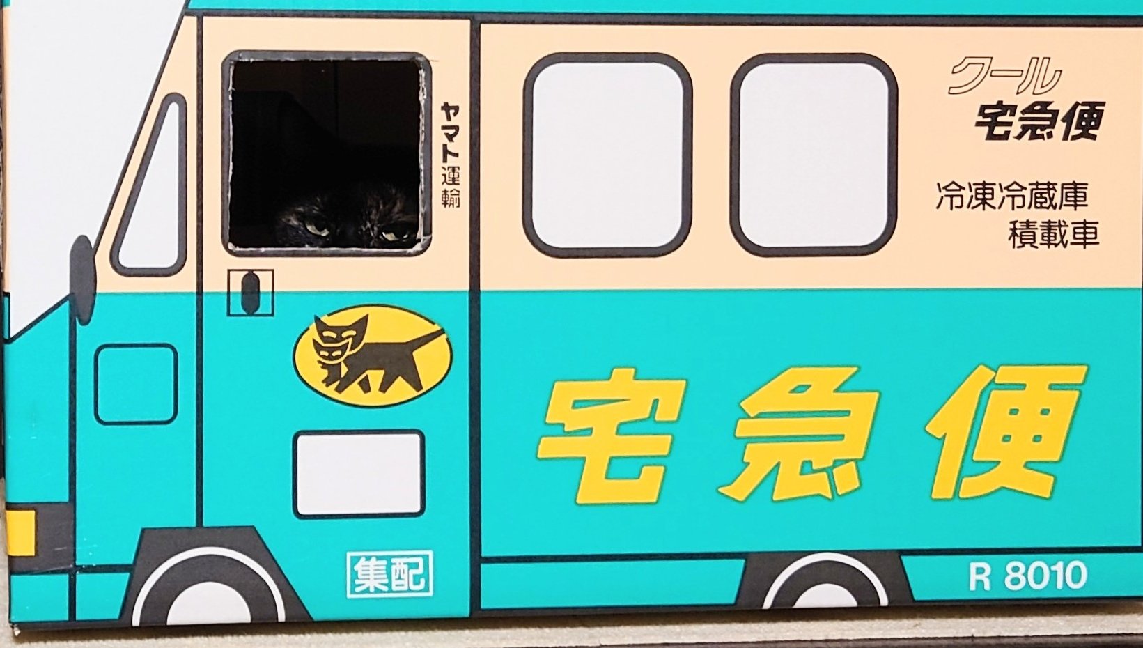 「サビ猫」ポジャギ　けいとたまちゃんです！！！ 2025年はタマさんからのスタートです - YouTube