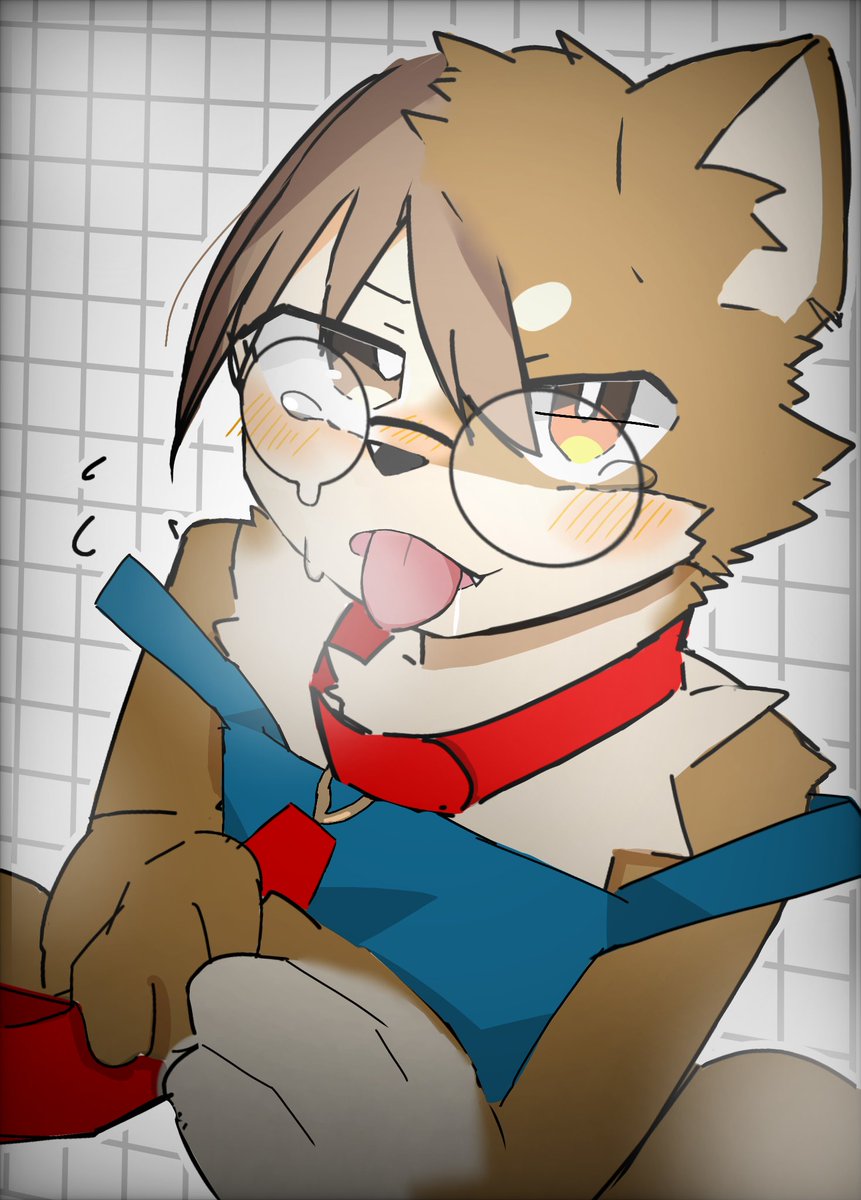 kemosorachi's tweet image. #3連休はフォロワーが増えるらしい