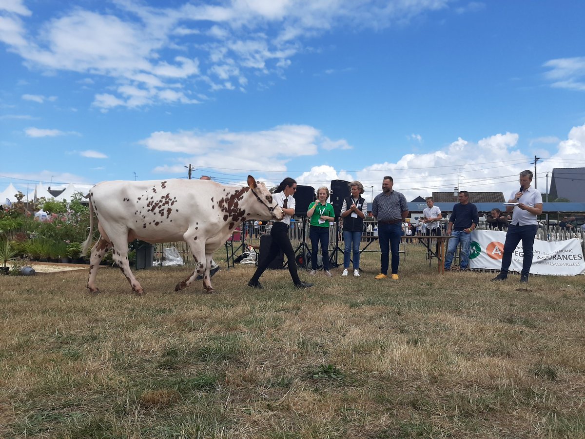 Agri53 (@agri_53) on Twitter photo Le #Cima aura réuni 450 bovins et 93 équins, ainsi que des concours avicoles et ovins. Les animaux primés défilent devant un public nombreux. Félicitations aux éleveurs gagnants ! <a href="/ChambagriPdL/">Chambres agri PdL</a> <a href="/lamayenne/">La Mayenne, le Département</a> #Mayenne Le #Cima aura réuni 450 bovins et 93 équins, ainsi que des concours avicoles et ovins. Les animaux primés défilent devant un public nombreux. Félicitations aux éleveurs gagnants ! <a href="/ChambagriPdL/">Chambres agri PdL</a> <a href="/lamayenne/">La Mayenne, le Département</a> #Mayenne
