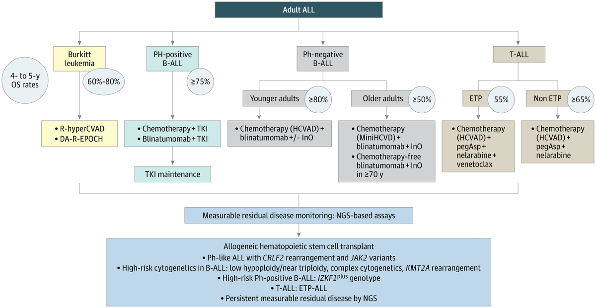 JAMAOnc's tweet image. Review: Research advancements in acute lymphoblastic leukemia (ALL) have led to improved outcomes through the use of targeted therapies and immunotherapies, reducing the reliance on prolonged chemotherapy. ja.ma/3IwWcW1