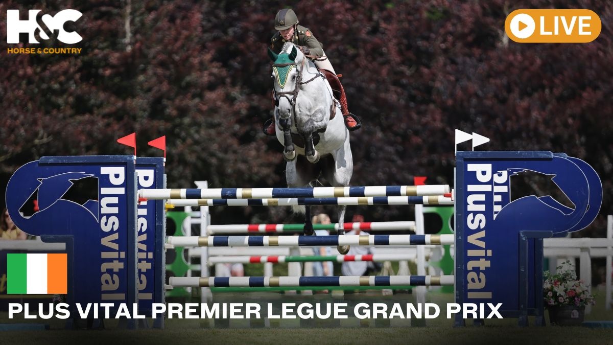 FreeLiveSportsX's tweet image. 🐴 Live on @HorseAndCountry – Plus Vital Premier League – Grand Prix
Experience world-class showjumping as elite riders compete for Grand Prix glory!
📅 July 20th | 10 AM ET
🎥 Watch FREE: go.freelivesports.tv/horse&country
📲 Stream on Apple TV, ROKU, Vizio, FireTV, iOS & Android