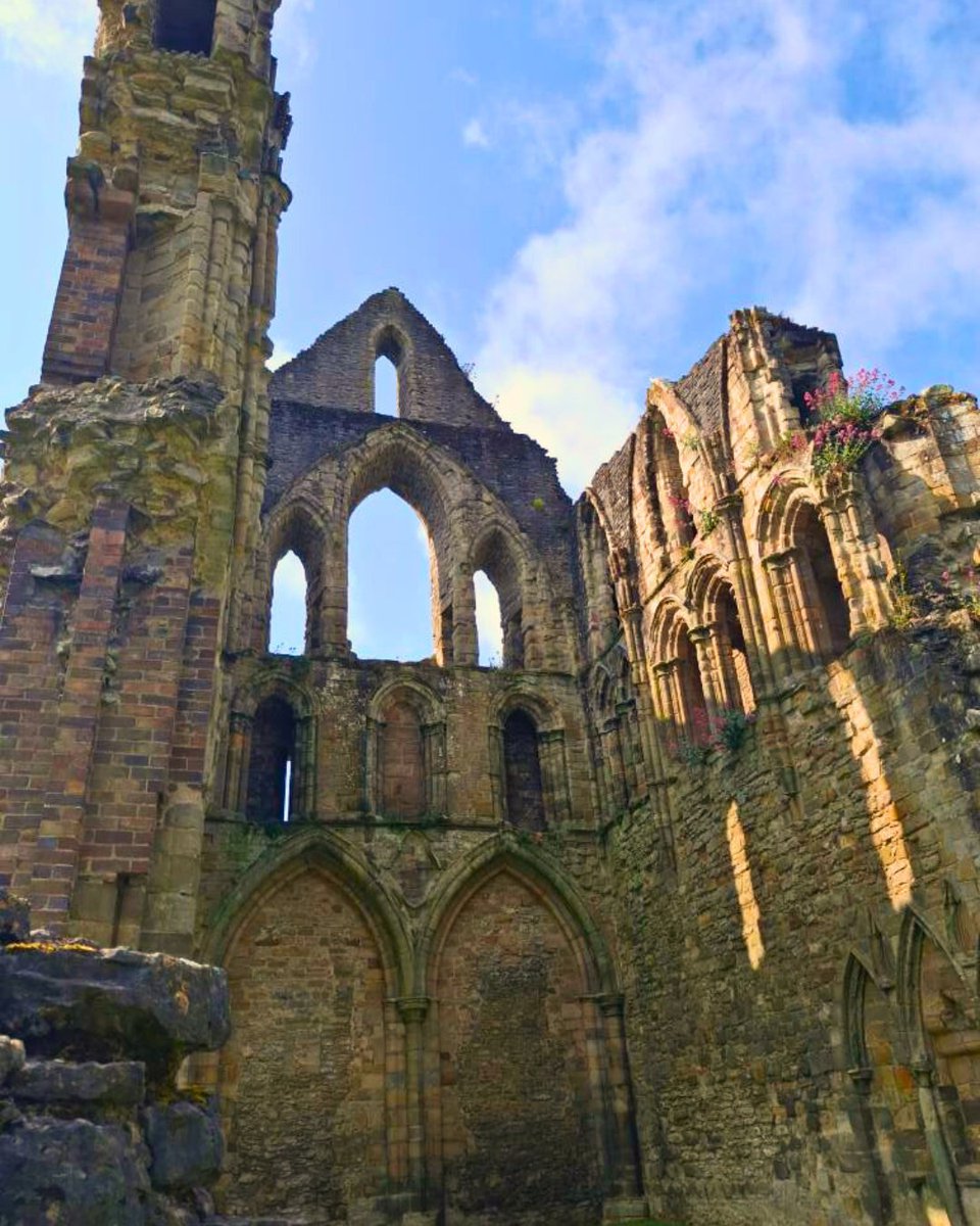 EnglishHeritage's tweet image. Bask in the peaceful ruins of Wenlock Priory this summer - admire some architectural excellence, listen to bees buzzing around the cloister garden and smell the fragrant blooms throughout the grounds. 🌸🐝✨