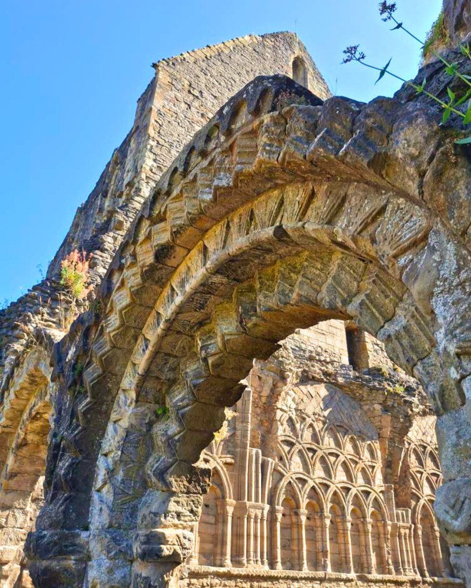EnglishHeritage's tweet image. Bask in the peaceful ruins of Wenlock Priory this summer - admire some architectural excellence, listen to bees buzzing around the cloister garden and smell the fragrant blooms throughout the grounds. 🌸🐝✨