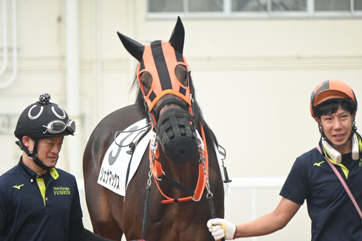 2025.06.26 園田競馬場
New Beginning 2歳初出走
シェナマックス

強そう
中盤の強ボスっぽい
「ｺﾌｰ…ｺﾌｰ…」とか言いながら襲ってきそう

かなり暴れてたからか吉見厩舎のスタッフさんが助っ人参戦？