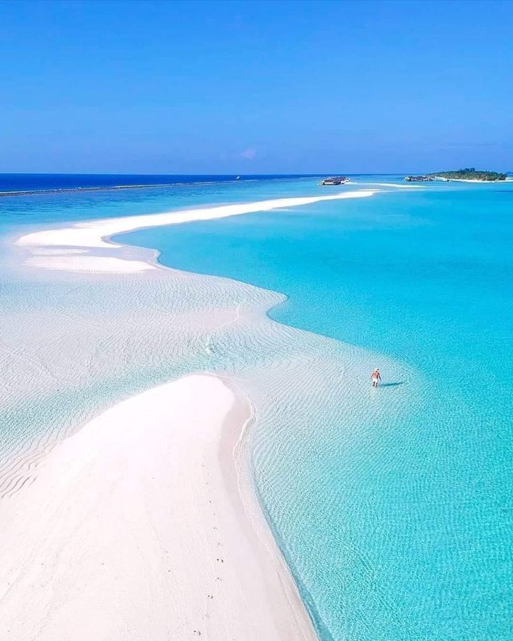 Floraaaa_11's tweet image. 