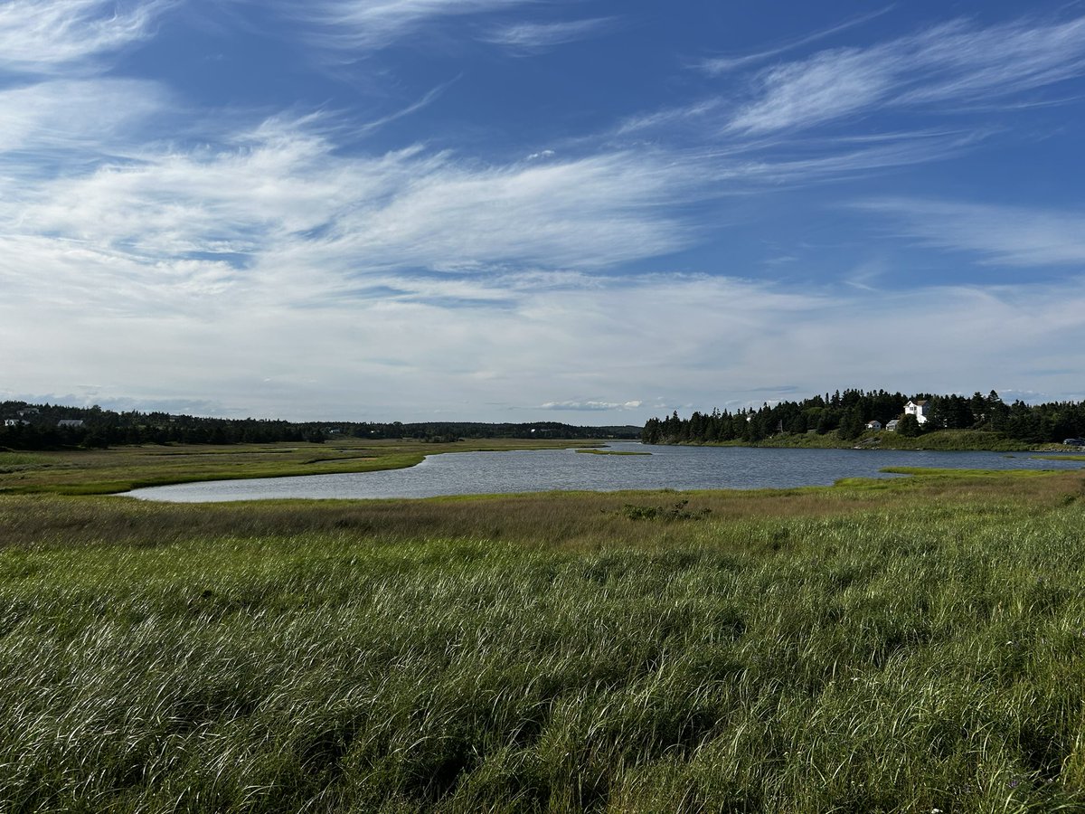 measure_plan's tweet image. I’m on a 12 hour roadtrip back home
requesting album recommendations, car games, memes
anything to fight boredom please
feel free to ask me a question or tell me a story too
bonus: some photos I took in Halifax