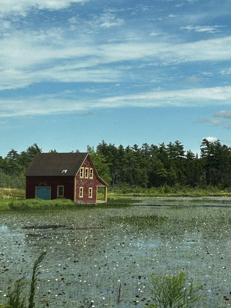 measure_plan's tweet image. I’m on a 12 hour roadtrip back home
requesting album recommendations, car games, memes
anything to fight boredom please
feel free to ask me a question or tell me a story too
bonus: some photos I took in Halifax