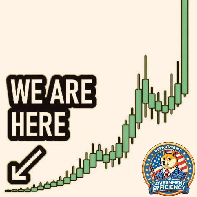 DogeFanChannel's tweet photo. @DogeXRPL @KingXrp40 Don’t doubt the Dog https://t.co/IxdT0pGTi0