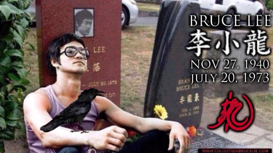 bruceleedragon1's tweet image. Today🙏We Remember Bruce Lee! The Dragon was Lost to Us All, Way Too Soon On This Day July 20, 1973.....
@brucelee #brucelee #Dragon #BruceLeeTheDragon🐉