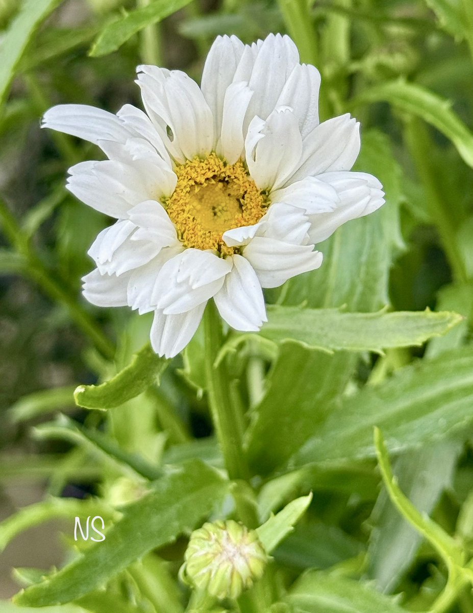 <a href="/MrBa101/">Mr. Mister</a> Happy Birthday 🥳
Best wishes 🌹🥂🍾🎈