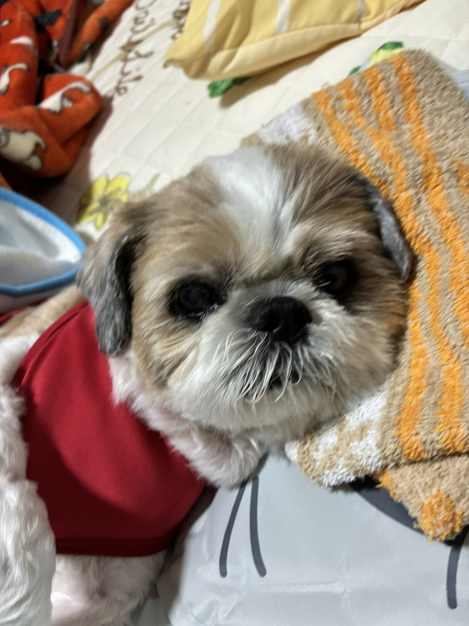 なべちゃん専用ページ！！ なべちゃん専用