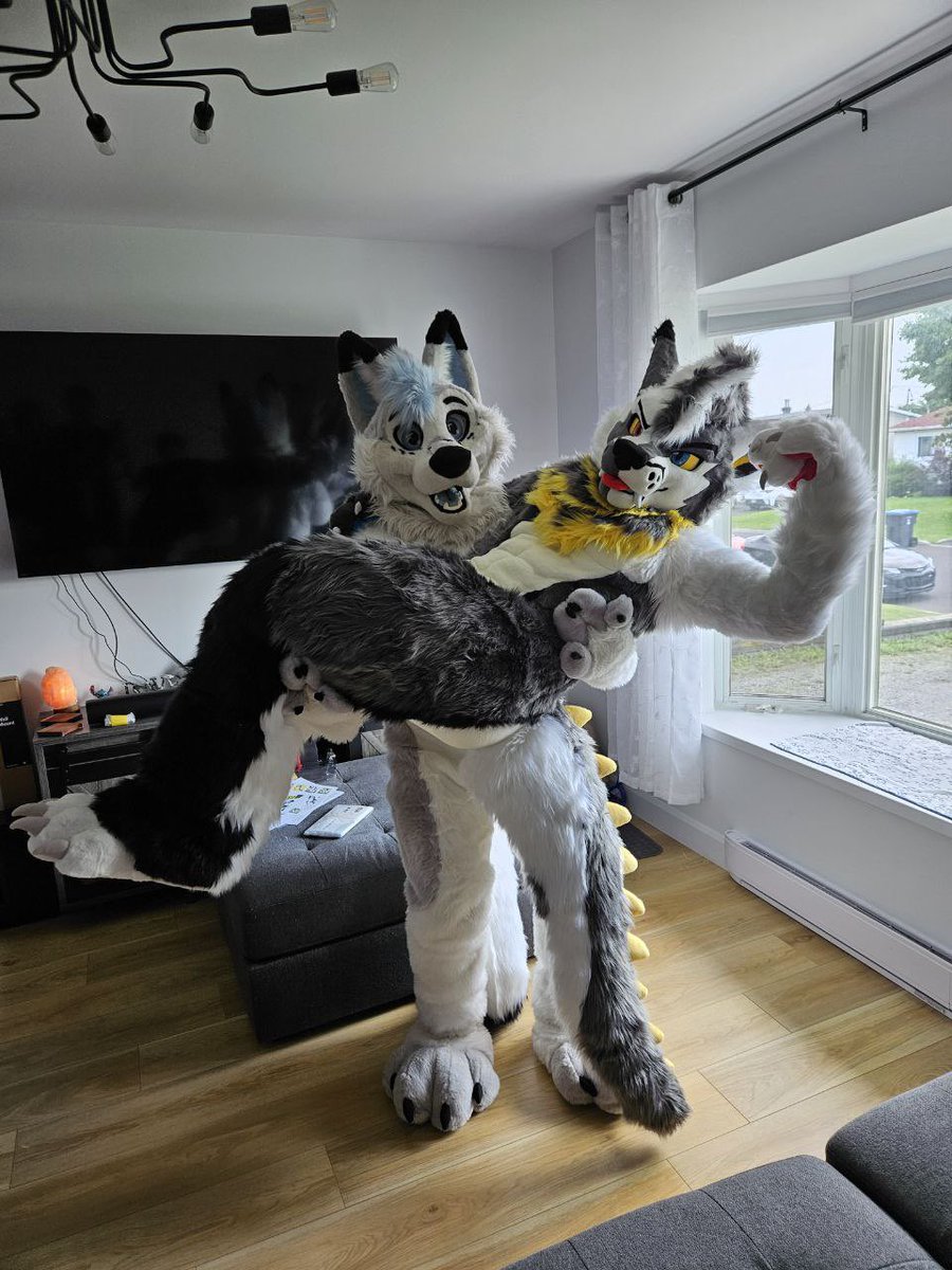 Artythefoxx ๐ FWA (@artythefoxx) on Twitter photo I want to wish my congatulations to <a href="/Yin_Rave/">๐บYin๐บ ๐ EF2025</a> for his new suit from <a href="/kigurumikagetsu/">ใใใใฟ่ฑๆ/Kigurumi Kagetsu</a> !
Wish you the best time with your new look, a lot of content to be remade together ๐ I want to wish my congatulations to <a href="/Yin_Rave/">๐บYin๐บ ๐ EF2025</a> for his new suit from <a href="/kigurumikagetsu/">ใใใใฟ่ฑๆ/Kigurumi Kagetsu</a> !
Wish you the best time with your new look, a lot of content to be remade together ๐