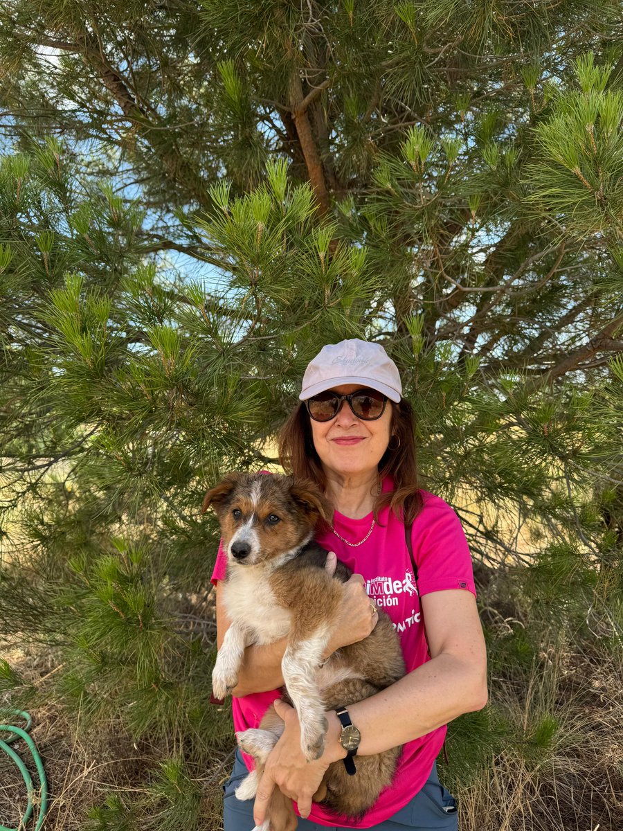 _amayamendiko's tweet image. Días de campo ☀️🌳🕶️🧢🐾