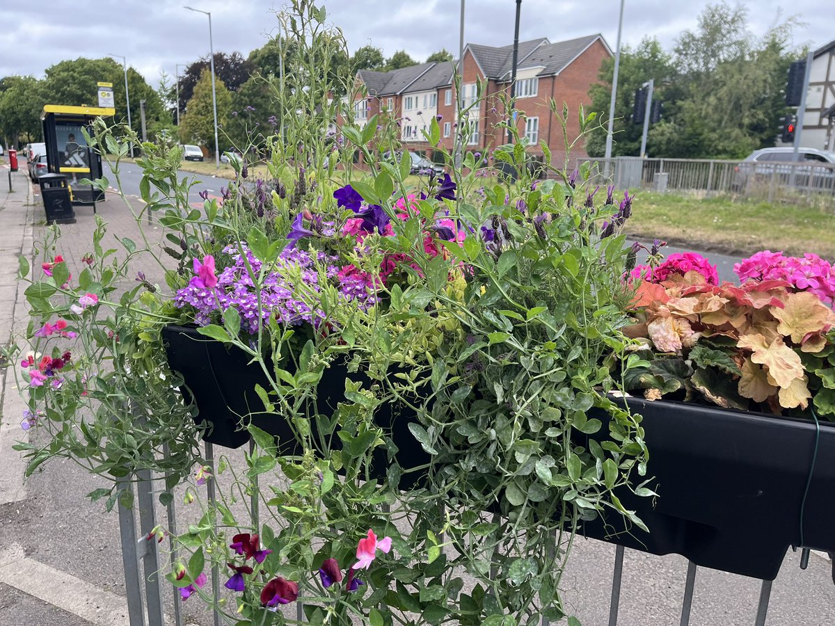 petew71uk (@petew71uk) on Twitter photo Three bags of litter off the streets of Liverpool 19. Nice and clean now but could do with a sweep and weed <a href="/lpool_LSSL/">Liverpool Streetscene Services Ltd</a> planters looking great would love more <a href="/richardclein/">Richard Clein</a> <a href="/AhmeekJane/">JaneAhmeek</a> <a href="/PennyLnWombles/">PennyLaneWombles</a> <a href="/LitterClear/">Litter Clear-Volunteer</a> <a href="/lpoolcouncil/">Liverpool City Council</a> <a href="/KeepBritainTidy/">Keep Britain Tidy</a> Three bags of litter off the streets of Liverpool 19. Nice and clean now but could do with a sweep and weed <a href="/lpool_LSSL/">Liverpool Streetscene Services Ltd</a> planters looking great would love more <a href="/richardclein/">Richard Clein</a> <a href="/AhmeekJane/">JaneAhmeek</a> <a href="/PennyLnWombles/">PennyLaneWombles</a> <a href="/LitterClear/">Litter Clear-Volunteer</a> <a href="/lpoolcouncil/">Liverpool City Council</a> <a href="/KeepBritainTidy/">Keep Britain Tidy</a>