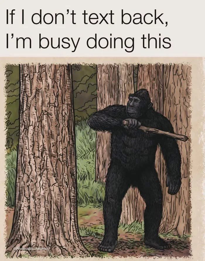 Sorry I was chatting to #Bigfoot 🪾