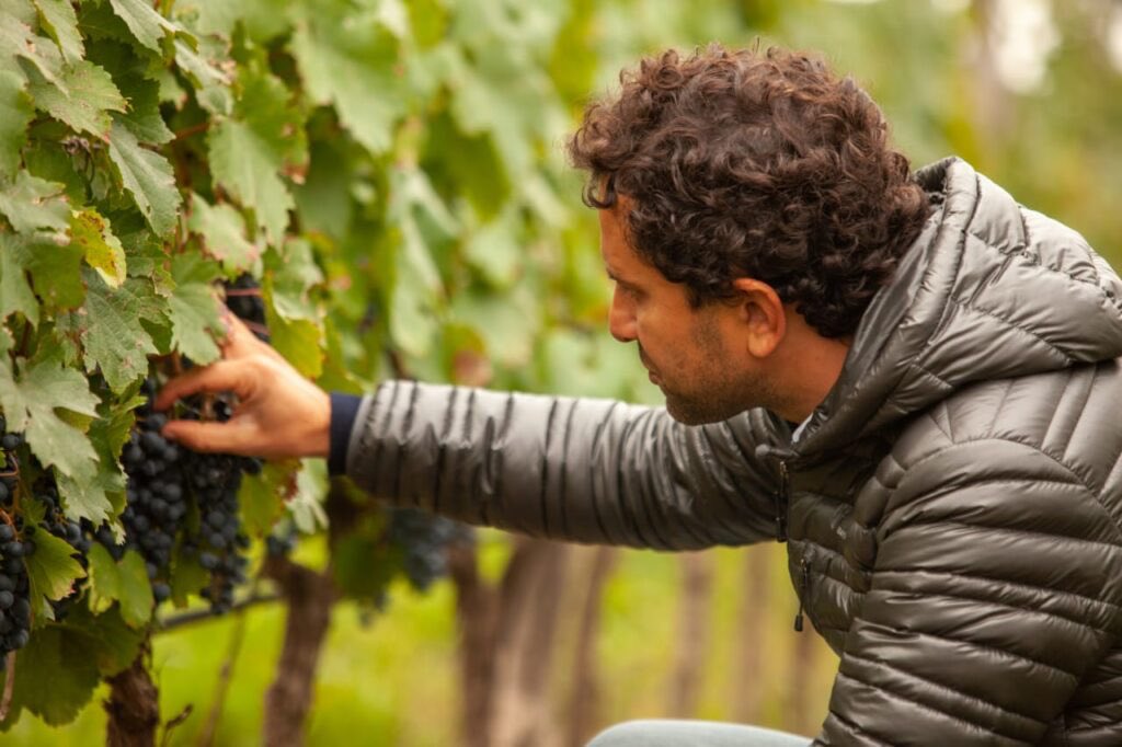@winetimearg tweet media